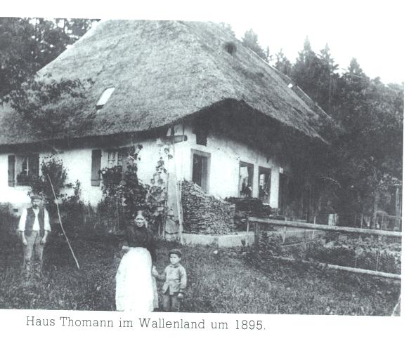 Wallenlandstrasse 19 Thomann 1895