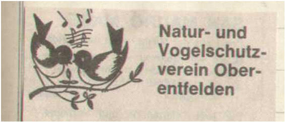 Vogel 1