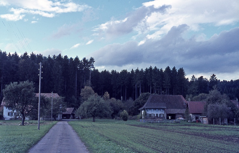 Wallenland 29 Hans Faes-Urech 27 Haefliger Schweizer WF 053