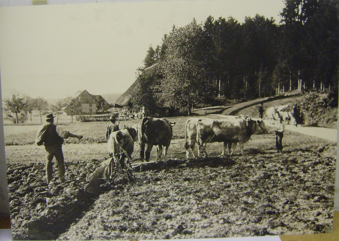 Huerzeler Friedrich geb 1895 Wallenland 1 VN 234 A